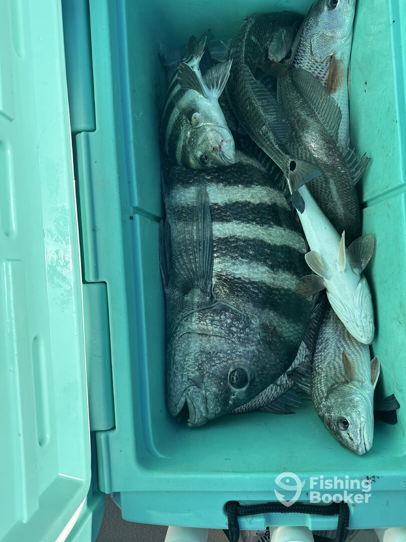 Darien Report Photo 0