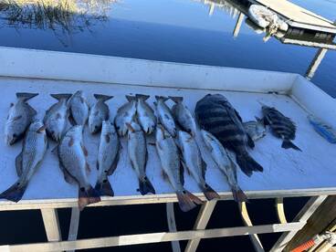 Darien Report Photo 1