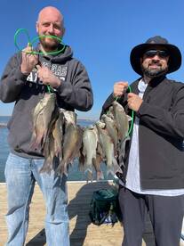 Grapevine Report Photo 2