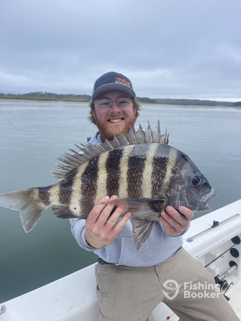 Hilton Head Island Report Photo 0