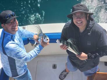 Cabo San Lucas Report Photo 1