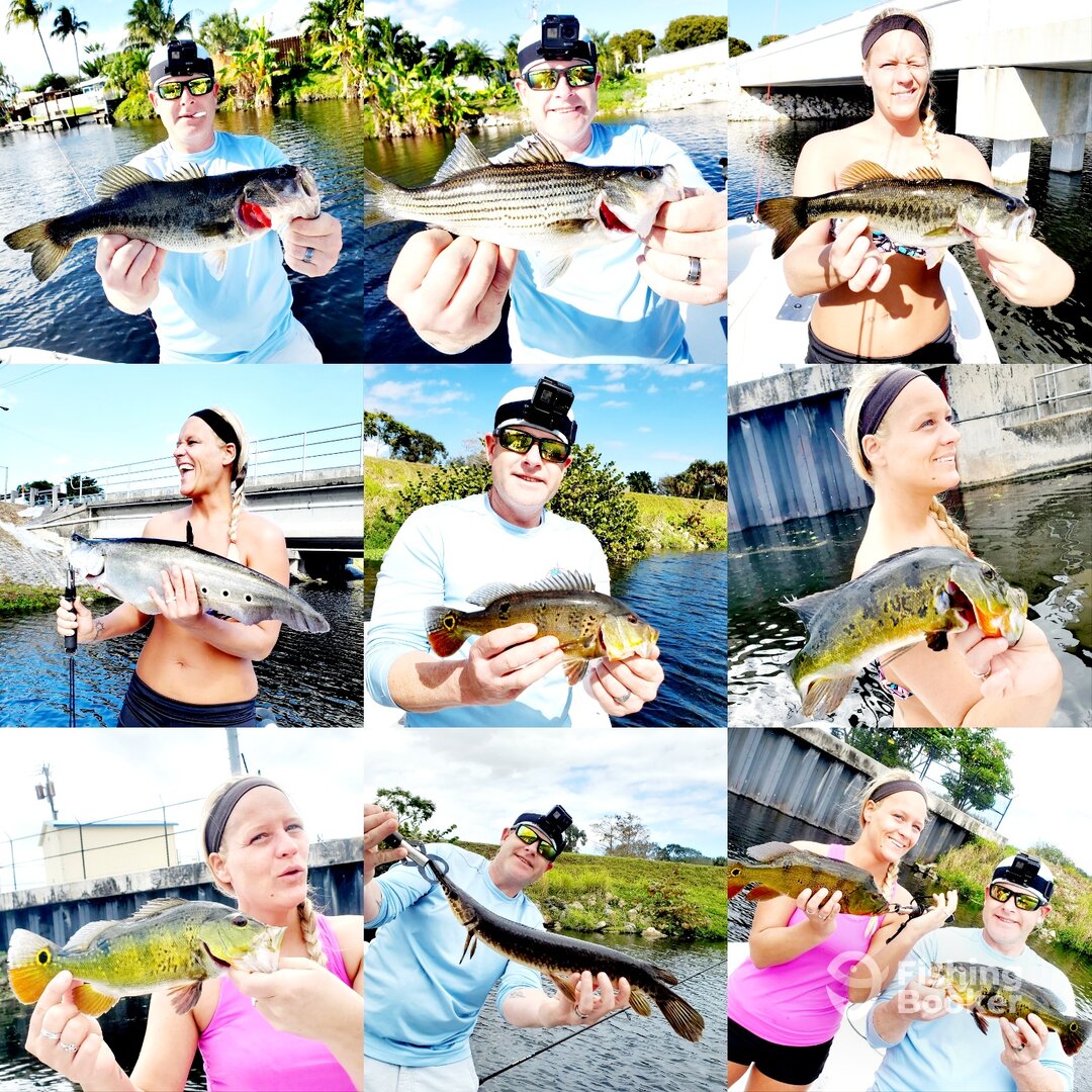 Delray Beach Report Photo 0