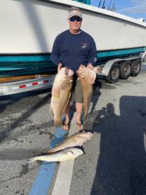 The wind has been blowing but managed to