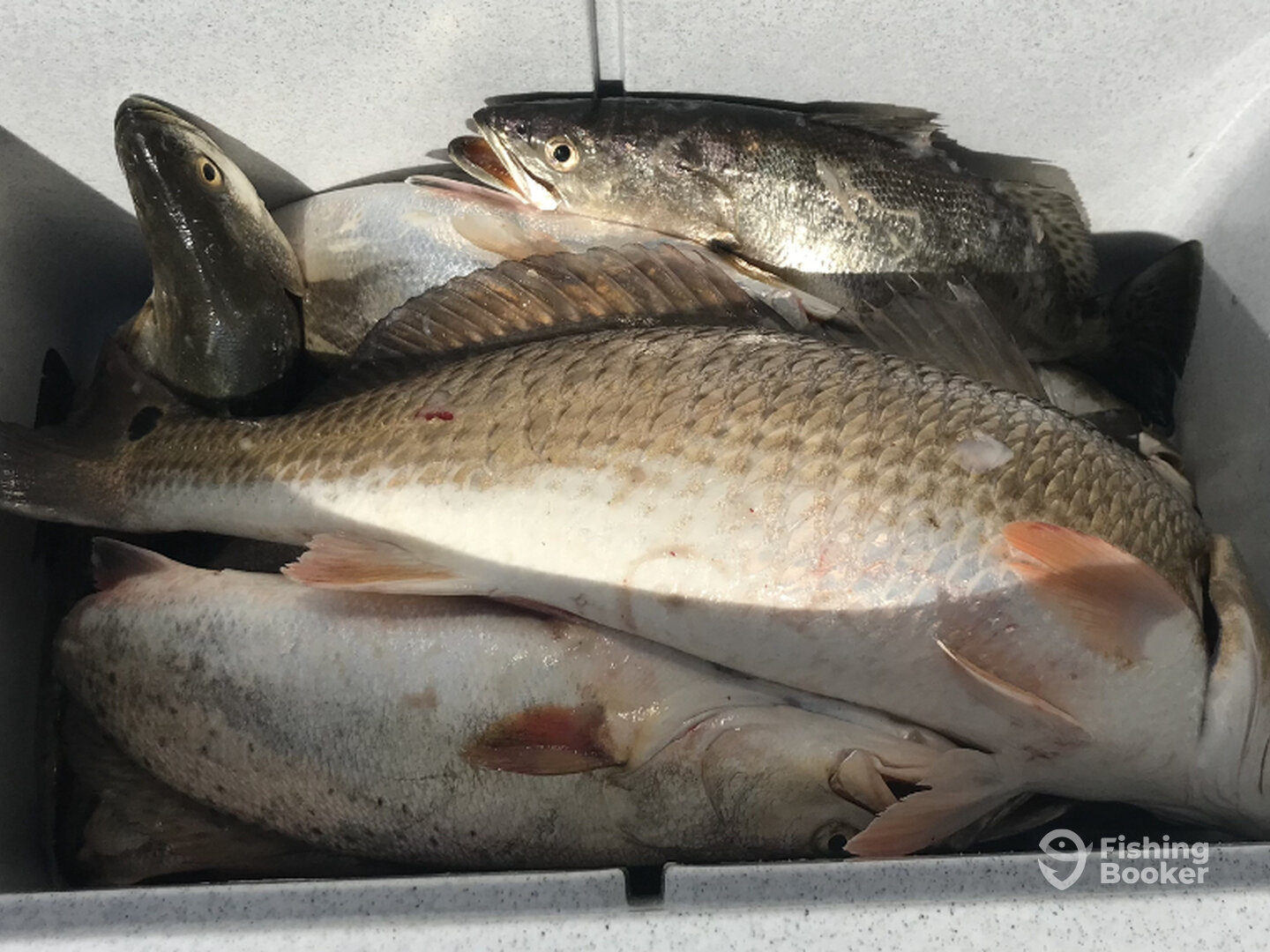 Bolivar Peninsula Report Photo 0