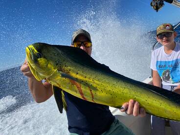 Cabo San Lucas Report Photo 2