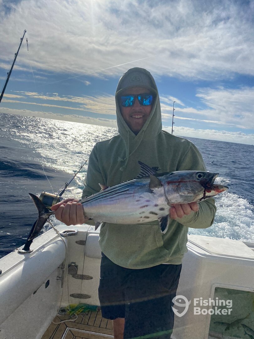 Cabo San Lucas Report Photo 0