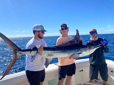 Cabo San Lucas Report Photo 2