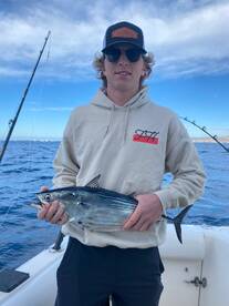 Cabo San Lucas Report Photo 1