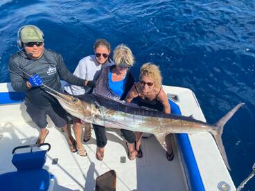 Cabo San Lucas Report Photo 1