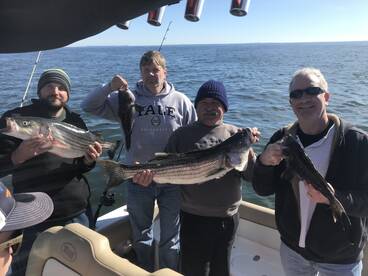 Clinton Report Photo 1