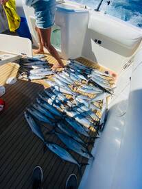 Cabo San Lucas Report Photo 2