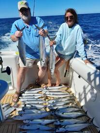 Cabo San Lucas Report Photo 1