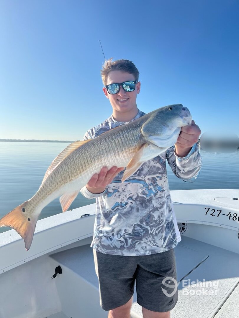 Clearwater Report Photo 0