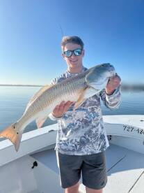 Spring is in the air! 