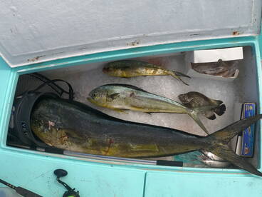 Destin Report Photo 1