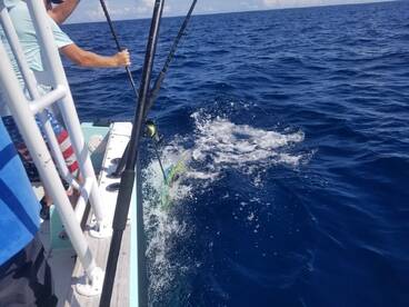 Destin Report Photo 1