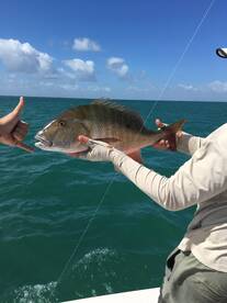 Key Biscayne Report Photo 2