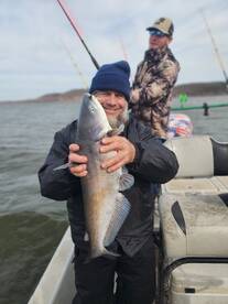 Some great fish weve caught this month 