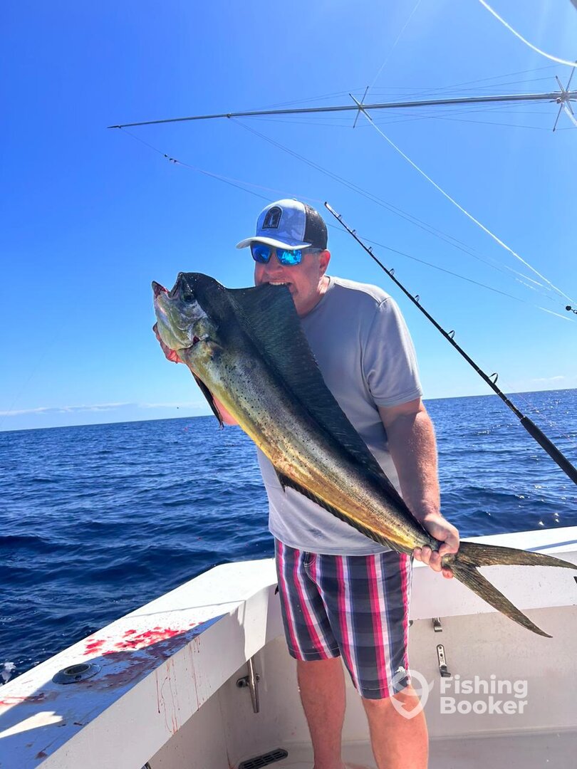 Quepos Report Photo 0