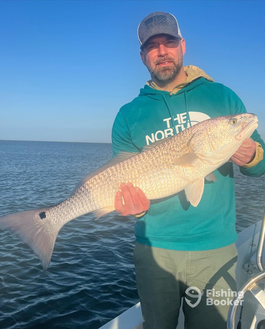 Venice Report Photo 0