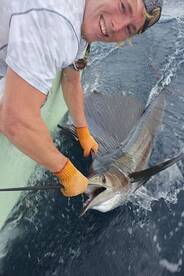 Quepos Report Photo 2