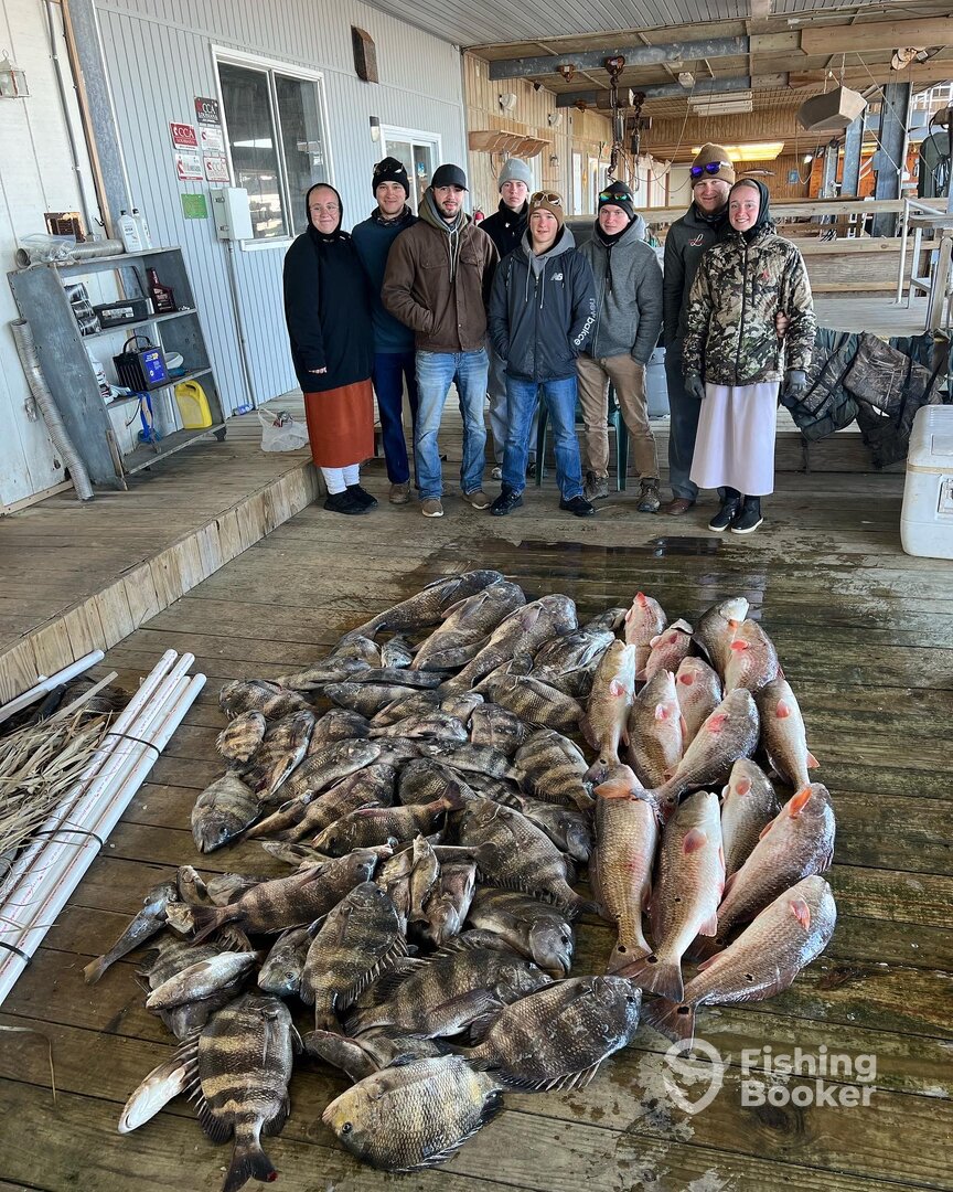 Venice Report Photo 0