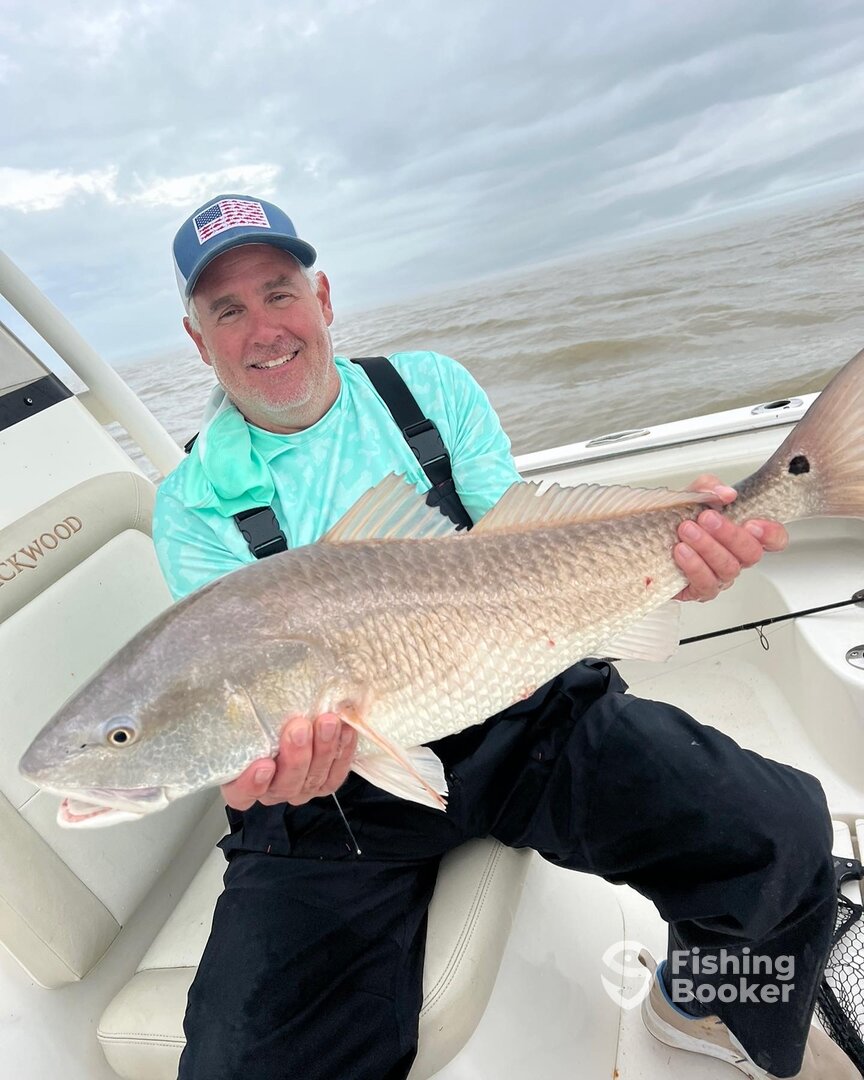 Venice Report Photo 0