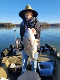 Harrison Verslag Foto 1