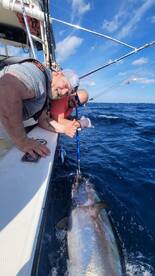 Lots of Bluefin to be had