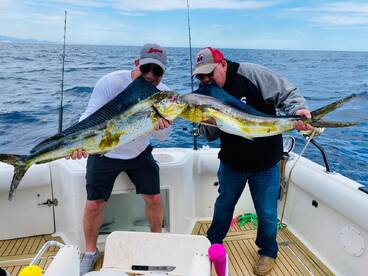 It's a stunning sight and you know you'v