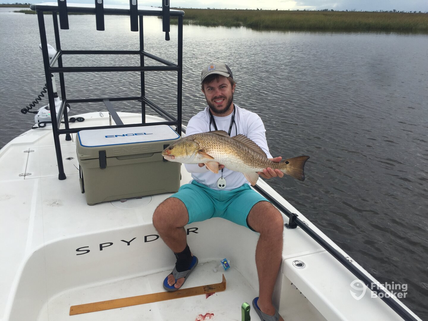 Titusville Report Photo 0