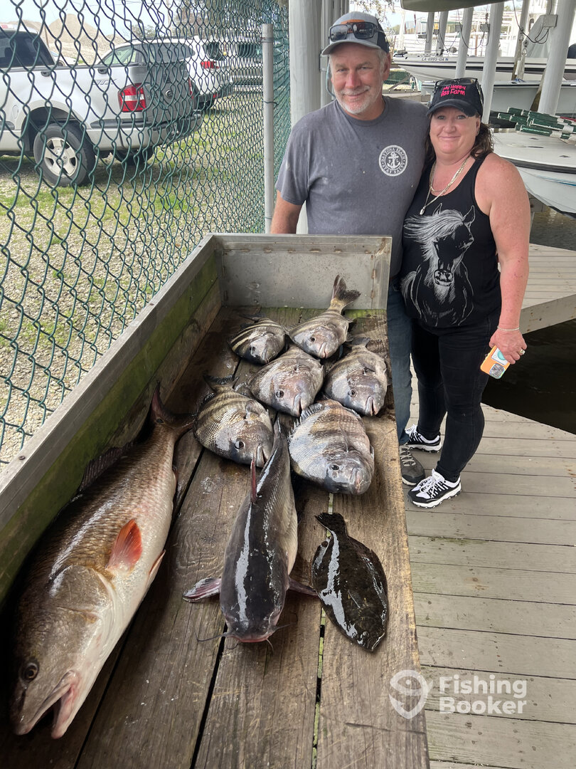 St. Bernard Report Photo 0