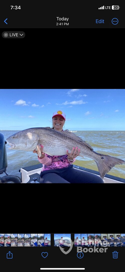 Edgewater Report Photo 0