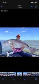 Giant Redfish and Giant Black Drum!!!