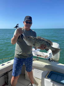 Light Tackle Action. 