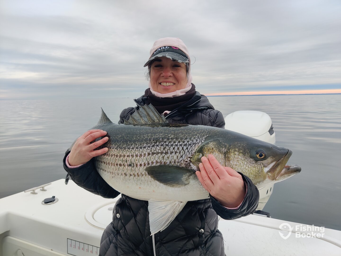 Dameron Report Photo 0