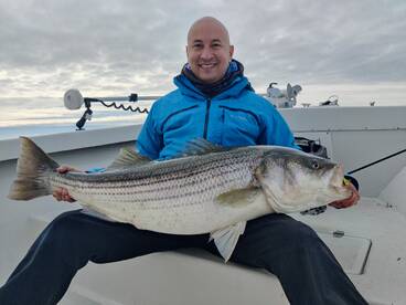 Dameron Report Photo 2