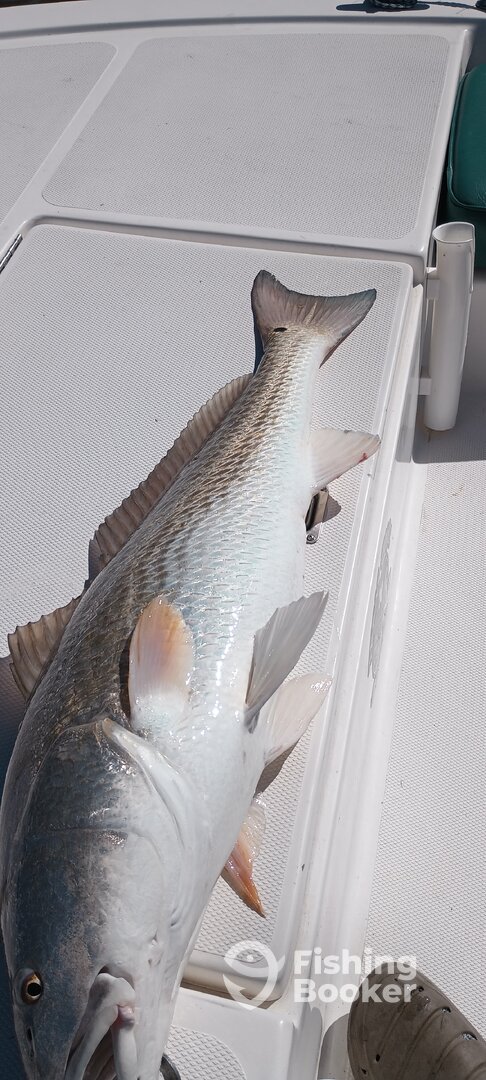 Texas City Report Photo 0