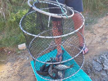 Cape Town Report Photo 1