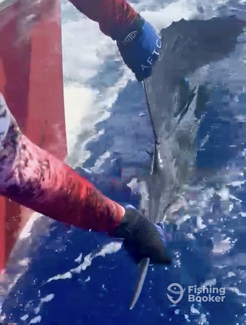 Fajardo Report Photo 0