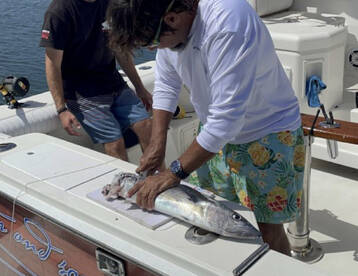 Fajardo Report Photo 1