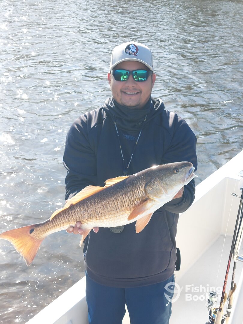 Panama City Report Photo 0