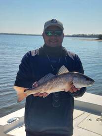 Panama City Report Photo 1