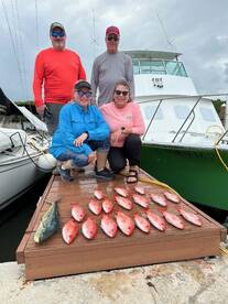 Dania Beach Report Photo 1