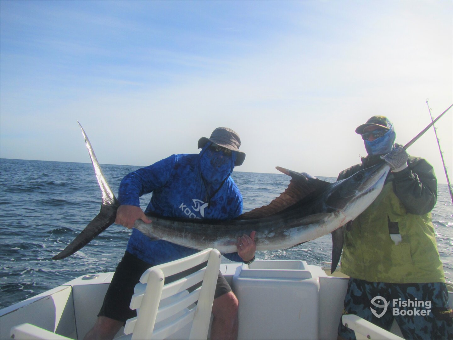 Cabo San Lucas Report Photo 0