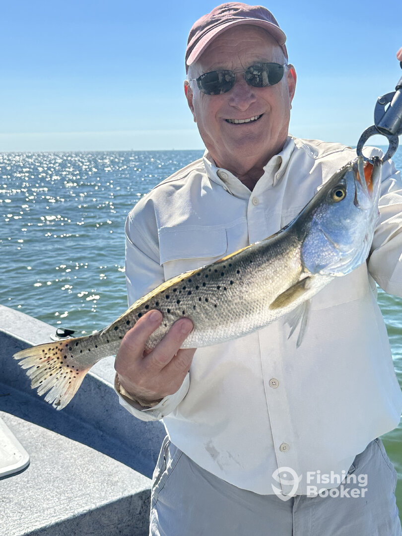 Crystal River Report Photo 0