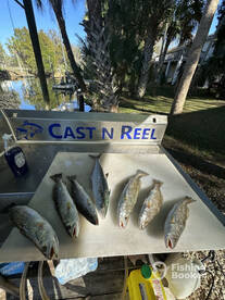Crystal River Report Photo 2