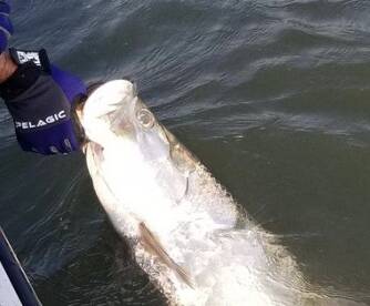 Fernandina Beach Report Photo 1