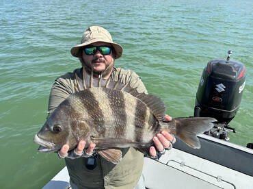 Grinded out a decent box of fish 