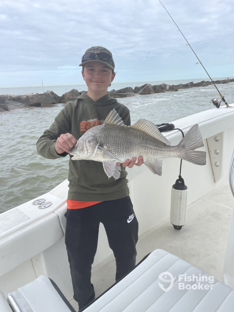 Galveston Report Photo 0